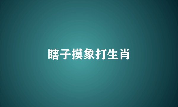 瞎子摸象打生肖