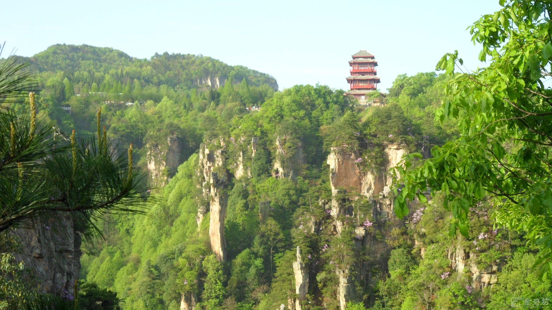 张家界驴友驿站的概述