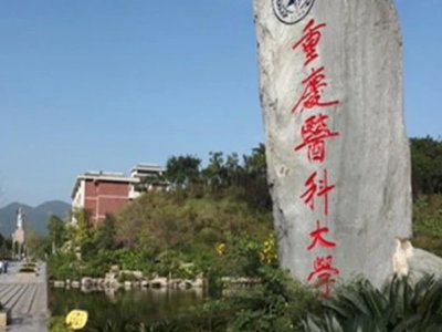 重庆大学城有哪些高校？