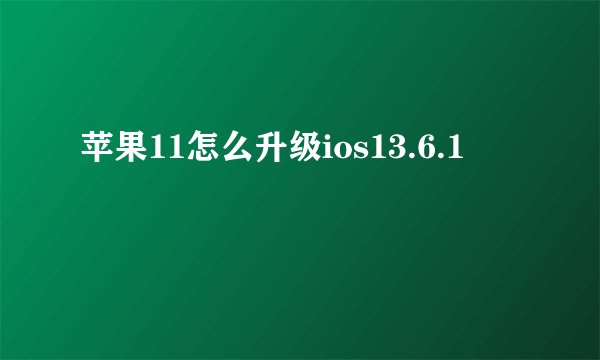苹果11怎么升级ios13.6.1
