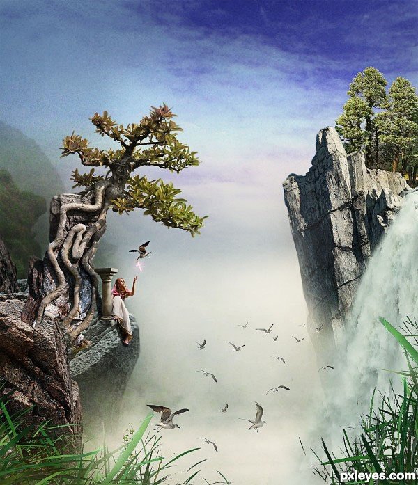 中华隐士联盟的最新消息