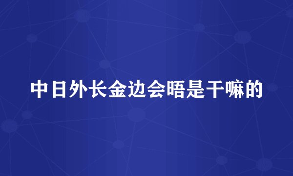 中日外长金边会晤是干嘛的