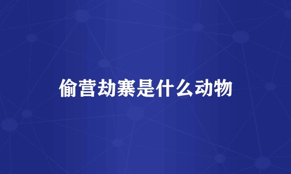 偷营劫寨是什么动物