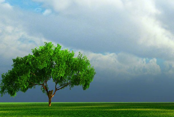 我国对外贸易面临的压力包括