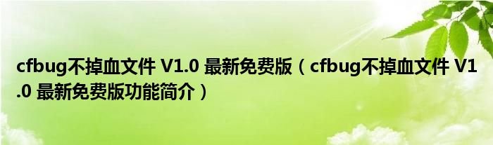 cfbug不掉血文件V10最新免费版cfbug不掉血文件V10最新免费版功能简介