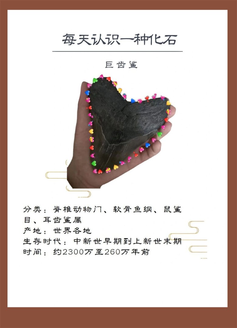 如何评价巨齿鲨?