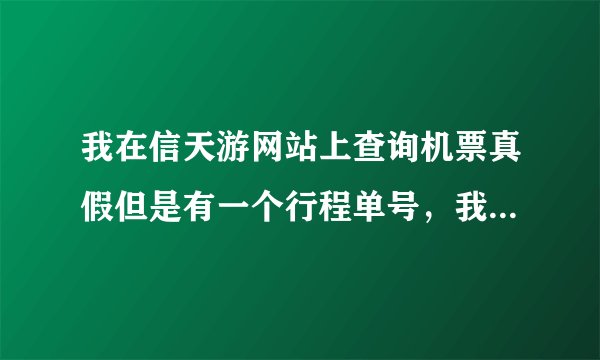 我在信天游网站上查询机票真假但是有一个行程单号，我怎么输都书不对，该怎么办？