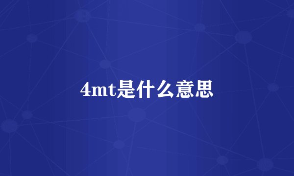 4mt是什么意思