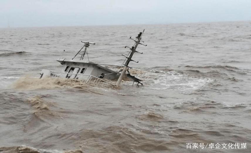 上海黄浦江上全部轮渡停航,停航的原因是什么?