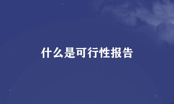 什么是可行性报告