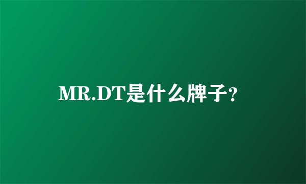 MR.DT是什么牌子？