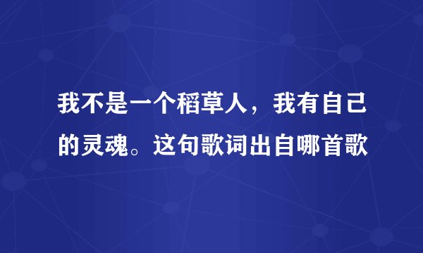 我不是一个稻草人，我有自己的灵魂。这句歌词出自哪首歌