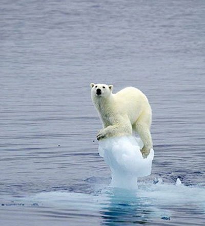 16省会城市气温骤降，是什么原因导致的？