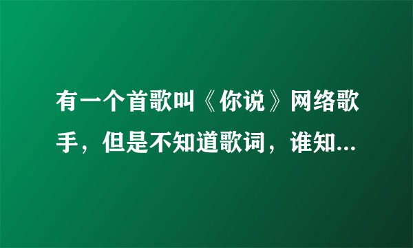 有一个首歌叫《你说》网络歌手，但是不知道歌词，谁知道歌词啊。。？谢谢