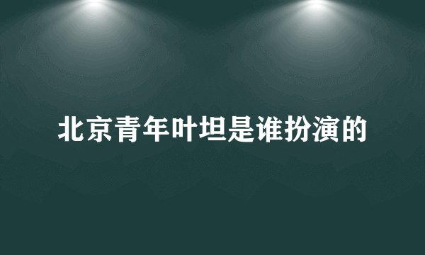北京青年叶坦是谁扮演的
