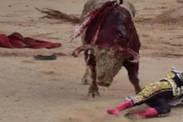 险象迭生的意思是什么