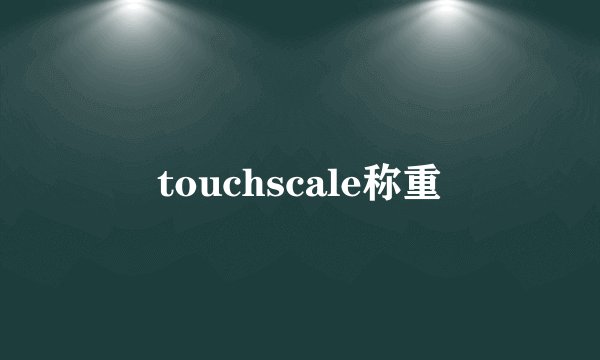 touchscale称重