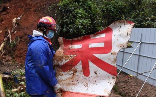 东航坠机现场发现百余份遗物，为何法医说全部归还家属的难度较大？