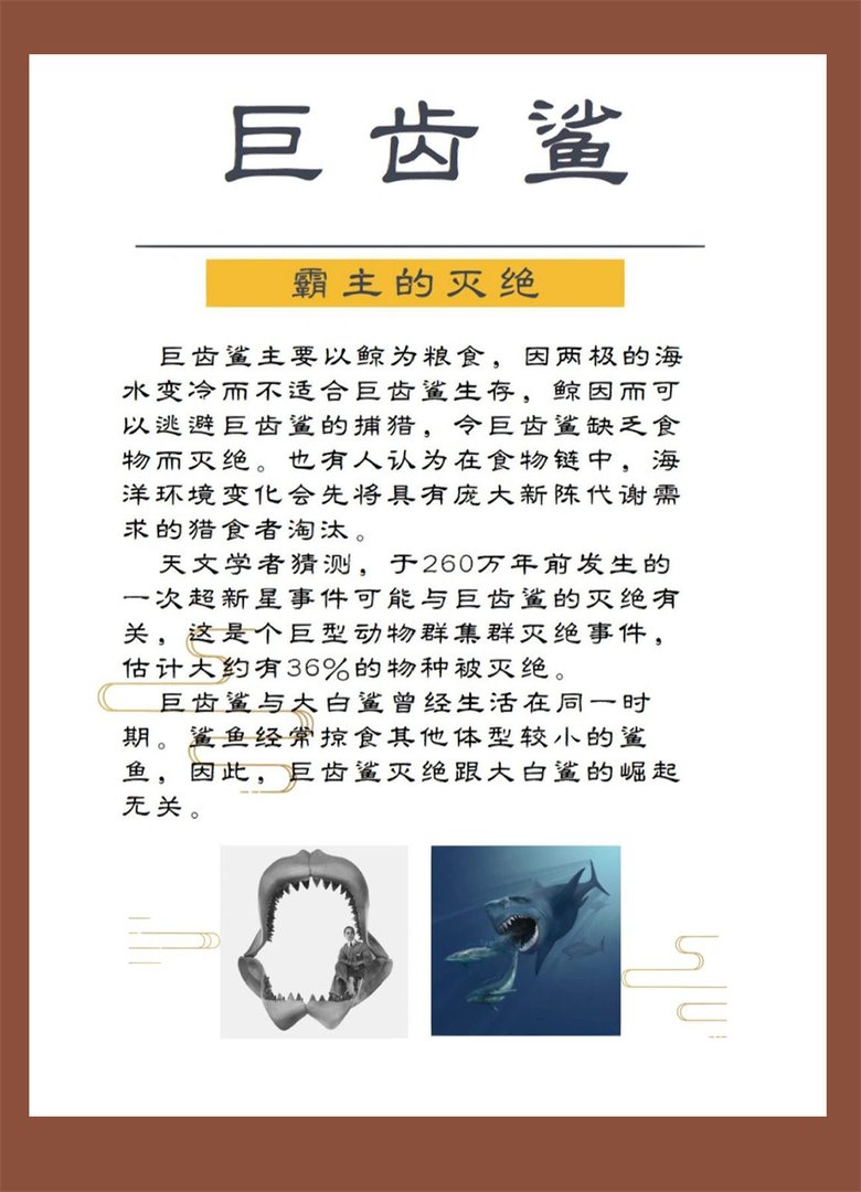 如何评价巨齿鲨?