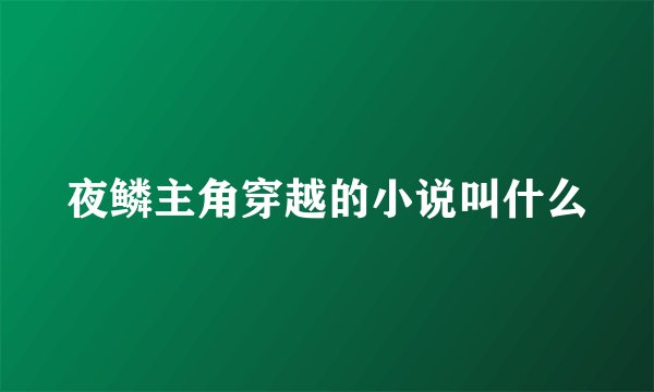 夜鳞主角穿越的小说叫什么