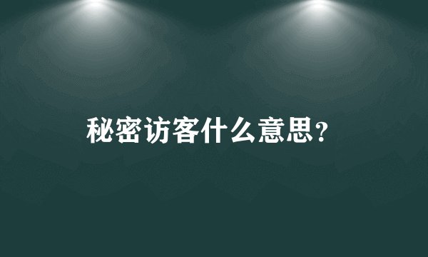 秘密访客什么意思？