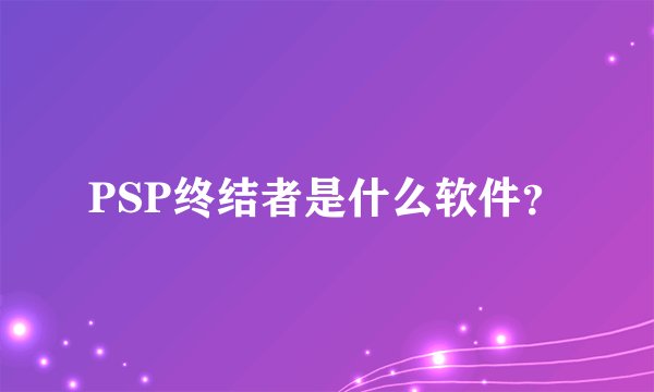 PSP终结者是什么软件？