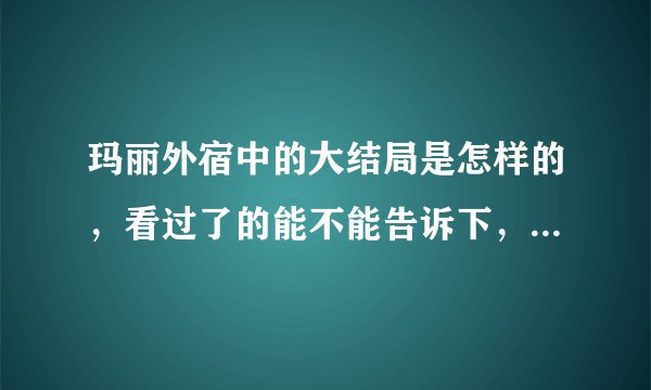 玛丽外宿中的大结局是怎样的，看过了的能不能告诉下，我希望玛丽和代表在一起。