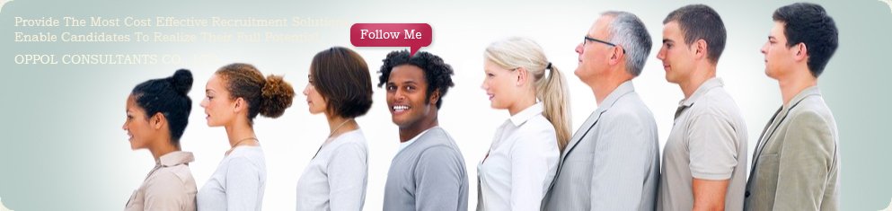 奥普猎头公司的成功案例