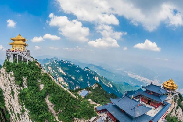 行走河南读懂中国作文怎么写