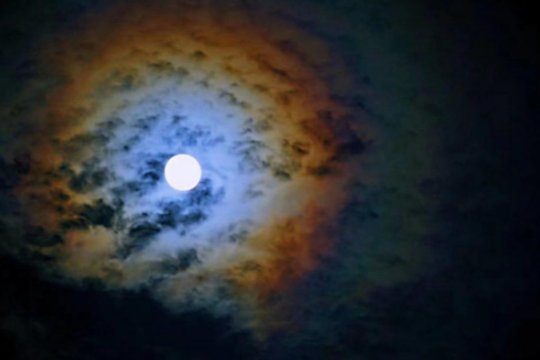 十五的月亮十六圆下一句是什么？