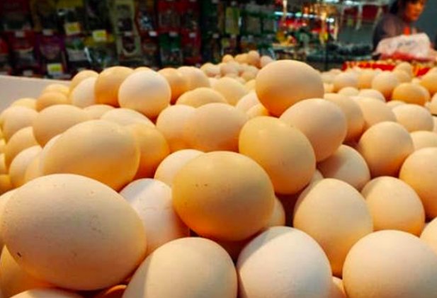 鸡蛋价格涨逾六成有什么影响？