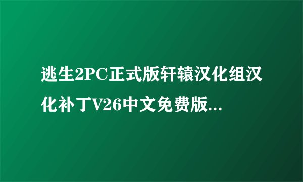 逃生2PC正式版轩辕汉化组汉化补丁V26中文免费版逃生2PC正式版轩辕汉化组汉化补丁V26中文免费版功能简介