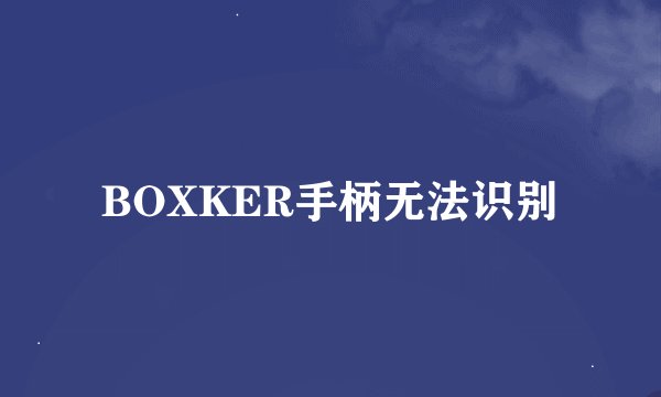 BOXKER手柄无法识别