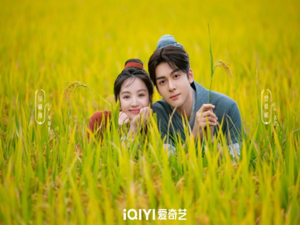 田耕纪什么时候更新