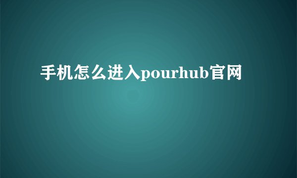 手机怎么进入pourhub官网