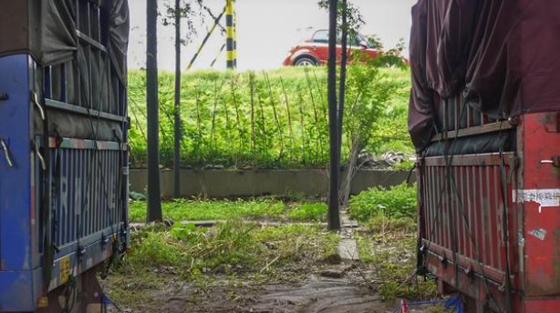 浙江温州一男子洗澡跌倒头卡马桶旁一整夜，男子的现状如何？