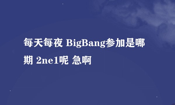 每天每夜 BigBang参加是哪期 2ne1呢 急啊