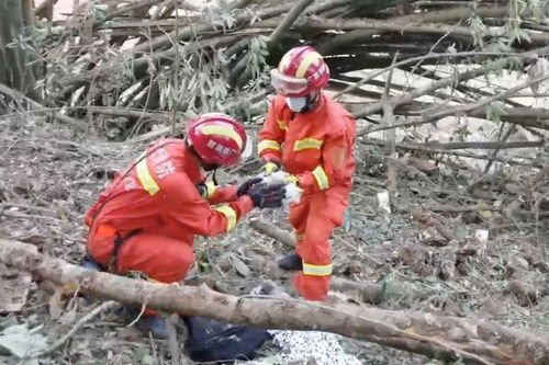 东航坠机现场发现百余份遗物，为何法医说全部归还家属的难度较大？