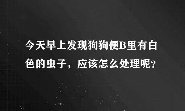 今天早上发现狗狗便B里有白色的虫子，应该怎么处理呢？