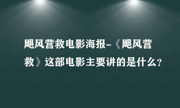 飓风营救电影海报-《飓风营救》这部电影主要讲的是什么？