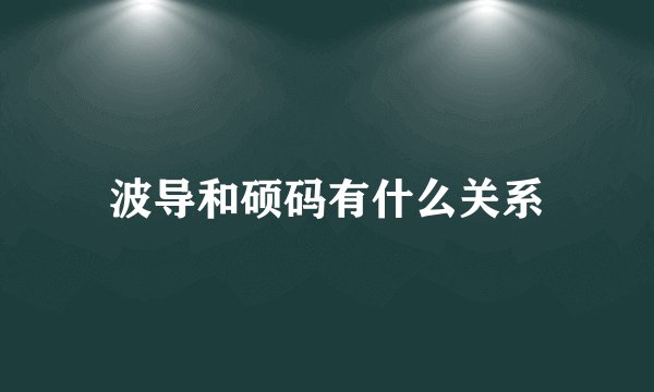 波导和硕码有什么关系