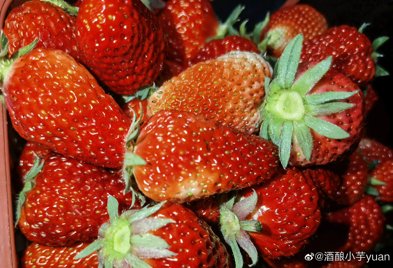 南京10万斤傅家边草莓滞销，造成其滞销的原因是什么？