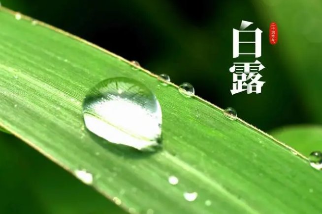 2023年白露节气是几月几日几时几分几秒？