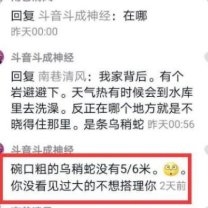 世界上最大的乌梢蛇长56米有碗口粗的乌梢你见过吗