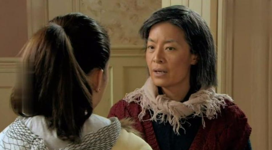 婆婆来了分集剧情简介