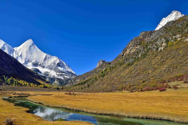 四川麻将大学排名