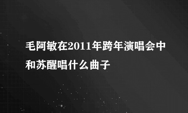 毛阿敏在2011年跨年演唱会中和苏醒唱什么曲子