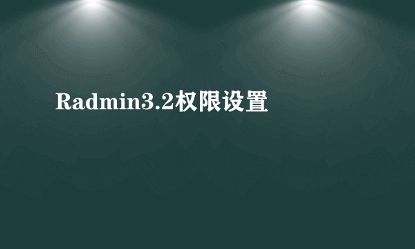 Radmin3.2权限设置