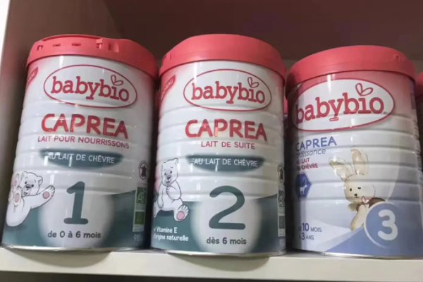 国外进口奶粉有哪些大品牌