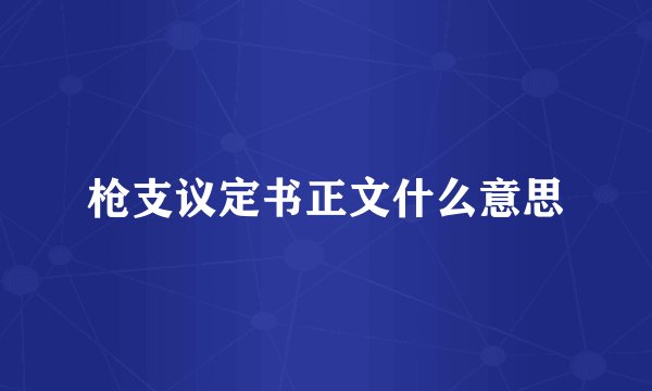 枪支议定书正文什么意思